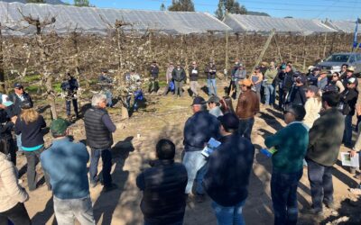 Con amplia participación realizamos el Día de Campo de AgroInchalam